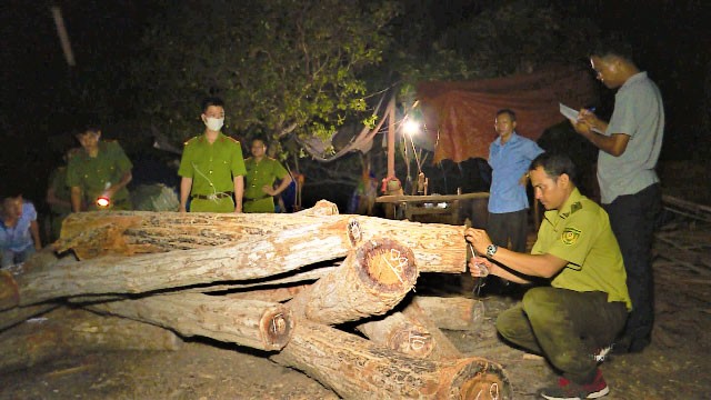 Lực lượng chức năng kiểm tra xưởng gỗ của ông Hoa