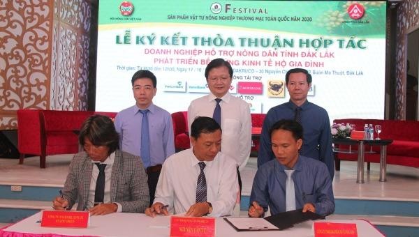 Đại diện các công ty và Hội Nông dân tỉnh Đắk Lắk ký kết hợp tác tiêu thụ nông sản. Ảnh Minh Lan.