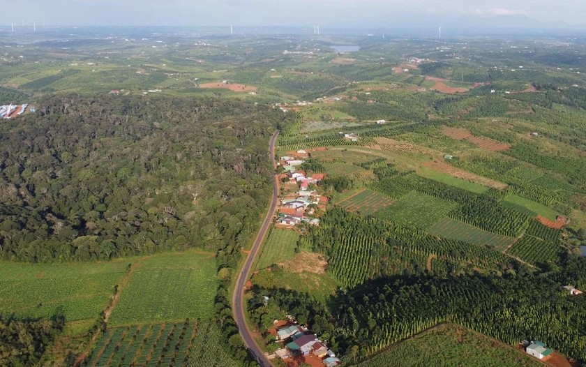 Đường giao thông liên huyện Đắk Song - Tuy Đức nhìn từ trên cao