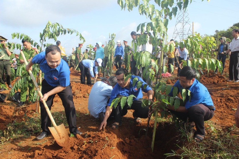 Đoàn thanh niên tỉnh Đắk Nông hưởng ứng phong trào trồng cây nhớ ơn Bác Hồ