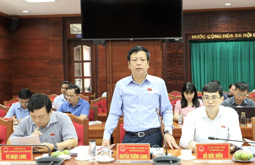 Phó Chủ nhiệm Ủy ban Pháp luật của Quốc hội Nguyễn Trường Giang tại buổi làm việc. Ảnh Minh Huệ