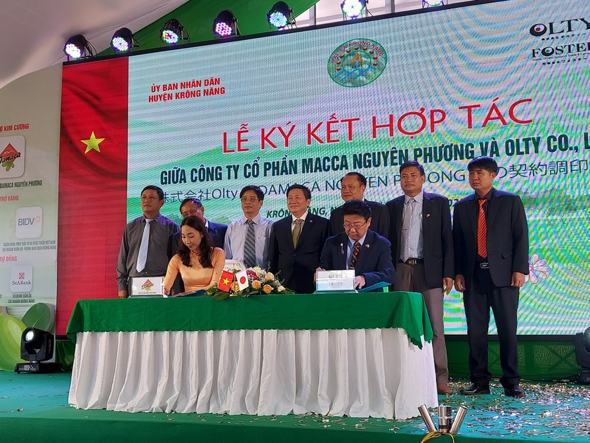 Lễ ký kết hợp tác giữa Công ty CP Macca Nguyên Phương và OLTY.
