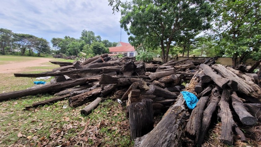 Số gỗ hư hỏng tại huyện Ea Súp. Ảnh Vũ Long