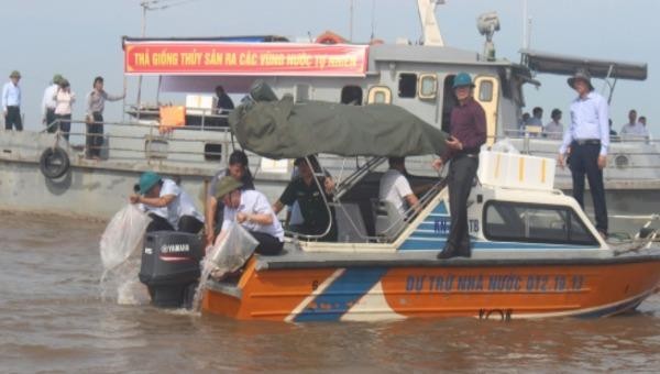 Hơn 300.000 con cá vược và tôm sú giống được thả xuống vùng nước tự nhiên tại cảng cá Cửa Lân, xã Nam Thịnh, huyện Tiền Hải.