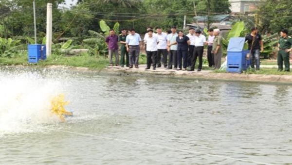 Ban Dân vận Tỉnh ủy Ninh Bình kiểm tra thực tế mô hình "Dân vận khéo" phát triển kinh tế tại Hợp tác xã nuôi trồng thủy sản Văn Phong.