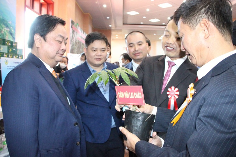 Bộ trưởng Bộ NN&PTNT Lê Minh Hoan tham quan khu trưng bày cây và các sản phẩm từ sâm được trồng ở Lai Châu tại Hội nghị Xúc tiến Đầu tư lĩnh vực nông nghiệp tỉnh Lai Châu năm 2021. 