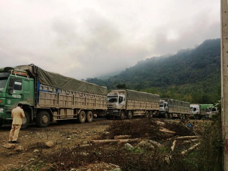 CSGT Thanh Hóa bắt giữ 09 xe chở than quá tải trọng