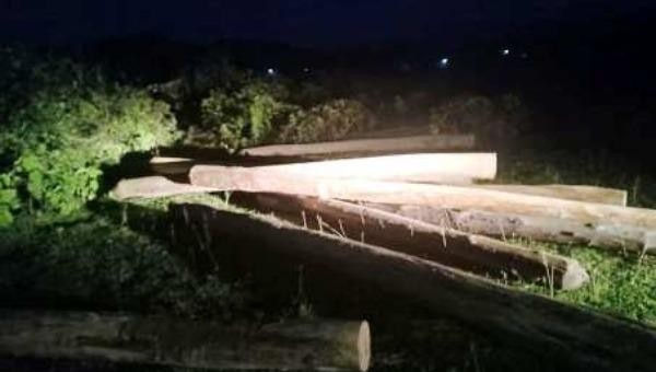 Hà Tĩnh: Phát hiện số lượng lớn gỗ lậu tập kết trong đêm tại nghĩa trang