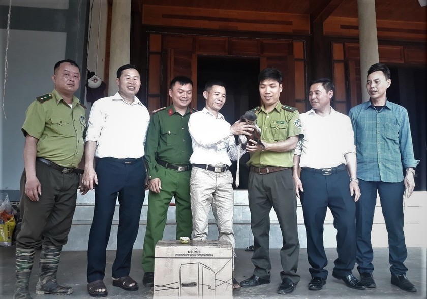 Cơ quan chức năng tiếp nhận con voọc chà vá chân nâu từ ông Nguyễn Xuân Nin.