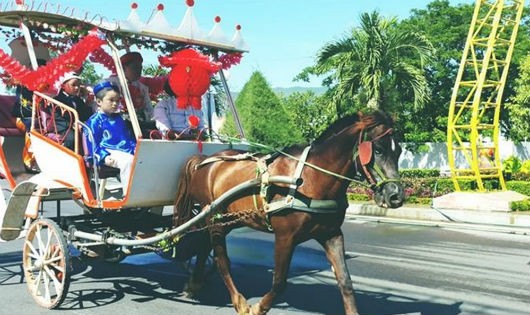 Xe ngựa của chị Nhung chở đám cưới ở Quy Nhơn. 