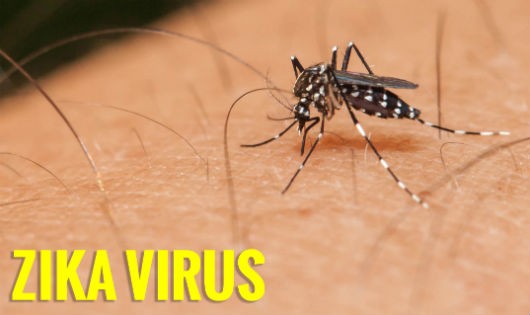Bộ Y tế chỉ thị về phòng, chống bệnh do vi rút Zika và sốt xuất huyết
