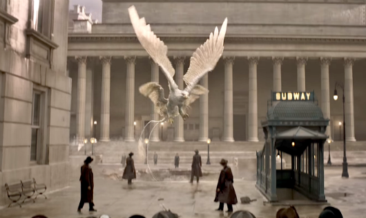 Quái điểu trong Fantastic beasts and where to find them