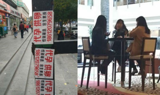 Quảng cáo mua trứng và tìm người mang thai hộ trên đường phố Bắc Kinh