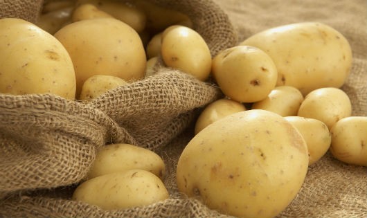 Những sai lầm khi chế biến khoai tây cần phải biết