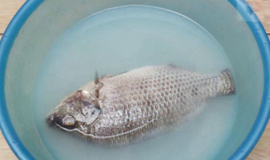 Ngâm cá vào nước vo gạo có tác dụng gì?