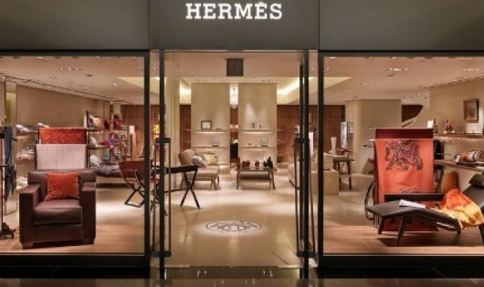 Hermes đã đăng ký bảo hộ toàn bộ nhãn hiệu dịch vụ hàng hóa nằm trong các nhóm được Cục SHTT quy định.
