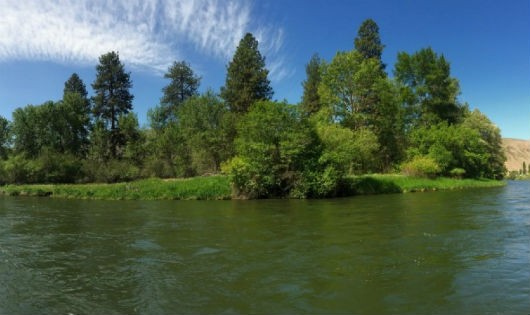 Sông Yakima ở bang Washington bị cho là ô nhiễm nặng bởi các hóa chất PCB. 