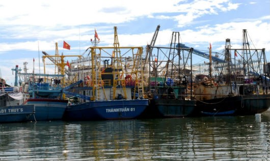 Hàng loạt tàu vỏ thép của ngư dân bị hư hỏng nằm ở Cảng Quy Nhơn.