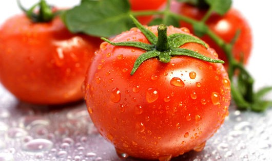 Cà chua trong ẩm thực Đông Tây