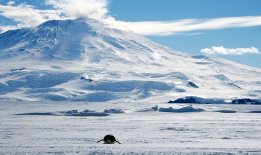  Miệng núi lửa ở Nam Cực