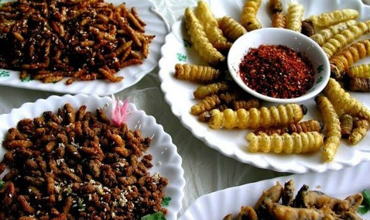 Loi choi là món ăn hấp dẫn du khách. Ảnh: dacsanphanrang