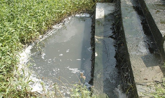 Nước trong kênh Bàu đen kịt do bị ô nhiễm nghiêm trọng
