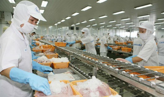 Công nhân Việt Nam đang chế biến thủy sản xuất khẩu
