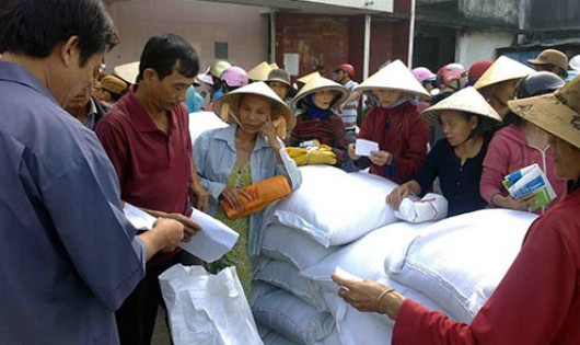 Quảng Trị: Phân bổ 200 tấn gạo Chính phủ hỗ trợ cho người dân bị thiên tai