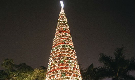 Những cây thông Noel độc và lạ ở Việt Nam