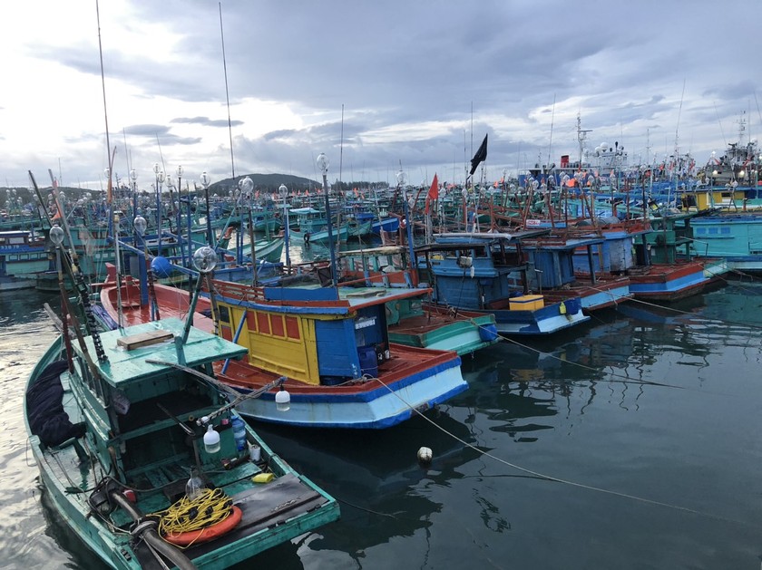 Chủ tịch UBND tỉnh Kiên Giang tự kiểm điểm trách nhiệm vì để tàu cá vi phạm IUU 