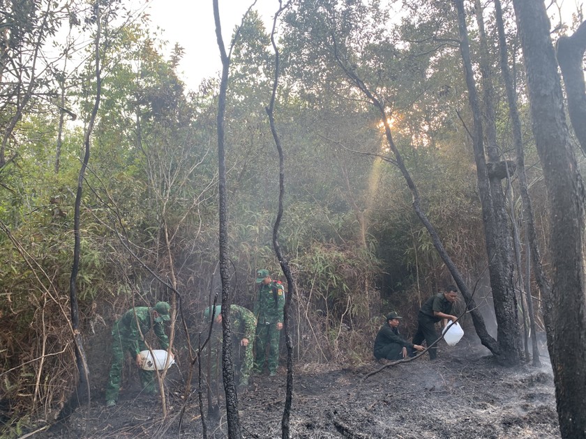 Kịp thời dập tắt đám cháy rừng tại khu vực rìa vườn quốc gia Phú Quốc