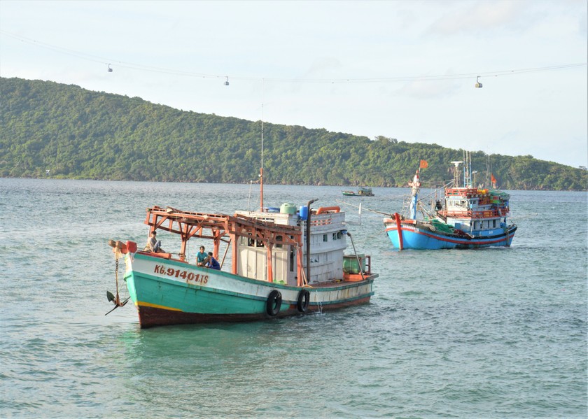 Hoa Kỳ và Việt Nam khởi động dự án Bảo vệ hệ sinh thái ven biển