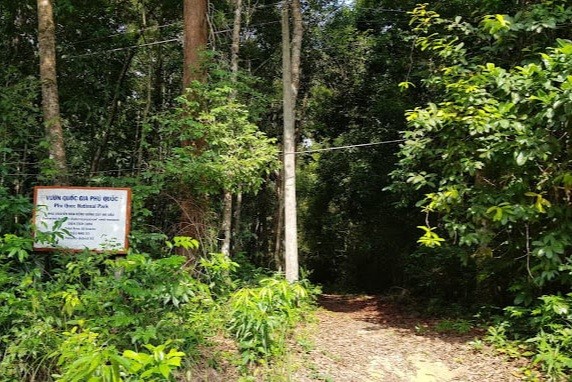 Kiên Giang: Cảnh báo lợi dụng danh nghĩa đo đạc đất rừng để lừa đảo